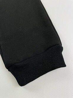 Утепленные спортивные штаны детские Робинзон черные 256 - картинка
