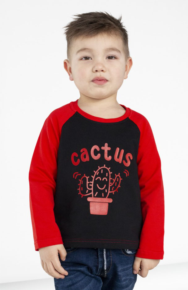 Реглан для хлопчика Kruton Cactus червоний 1 001 - ціна