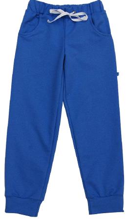 Спортивні штани для хлопчика Minikin сині 1517807 - ціна