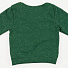 Комплект для хлопчика (реглан + брючки) Маленьке сонечко Джес зелений меланж - картинка