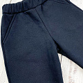 Спортивні штани Фламінго темно-сині 824-341 - ціна