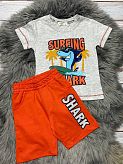 Комплект футболка и шорты для мальчика Breeze Shark серый 15176