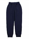 Утепленные спортивные штаны Фламинго темно-синие 961-341