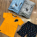 Комплект футболка і шорти для хлопчика Hoity-toity жовтий 0522 - світлина