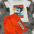 Комплект футболка і шорти для хлопчика Breeze Shark сірий 15176 - ціна