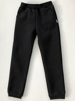 Утеплені спортивні штани дитячі Робінзон чорні 376 - ціна
