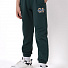 Спортивні штани дитячі Mevis зелені 4538-01 - ціна