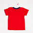 Комплект для хлопчика (футболка + шорти) Фламінго червоний 688-110 - картинка