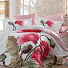 Комплект постельного белья HOBBY Poplin Miray розовый 200*220 - ціна