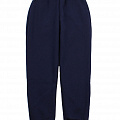 Утеплені спортивні штани Фламінго темно-сині 961-341 - ціна