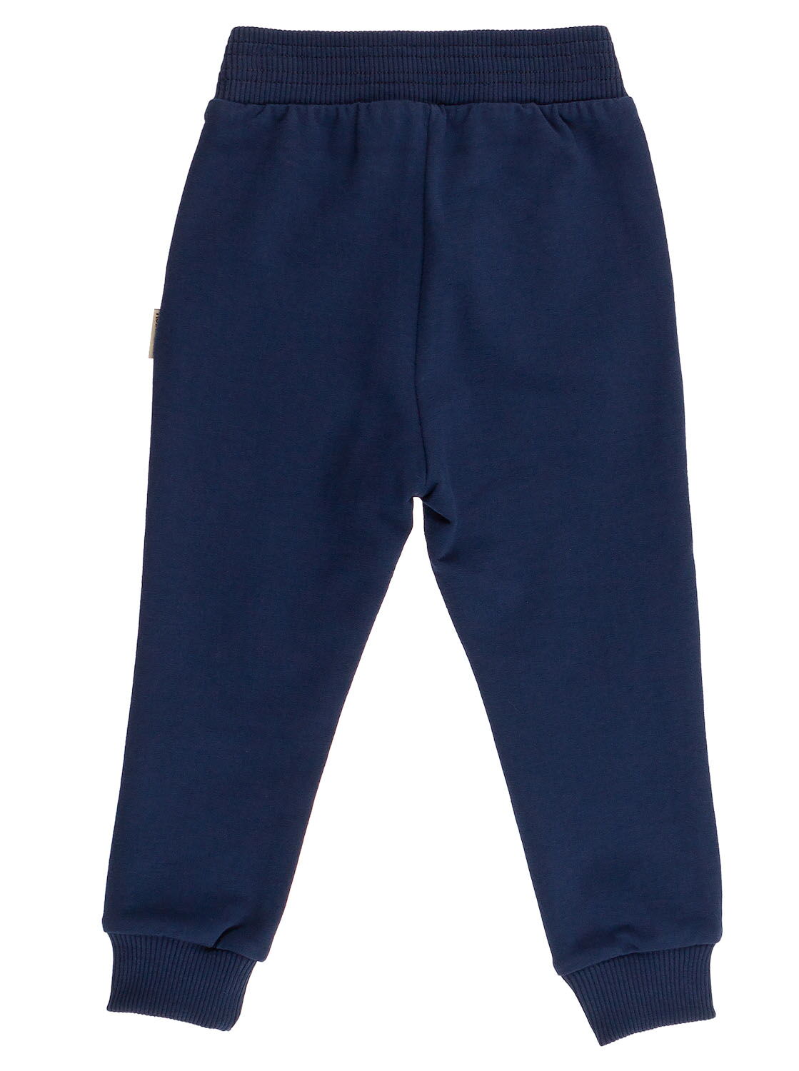 Спортивные штаны для мальчика Robinzone темно-синие ШТ-213 - фото