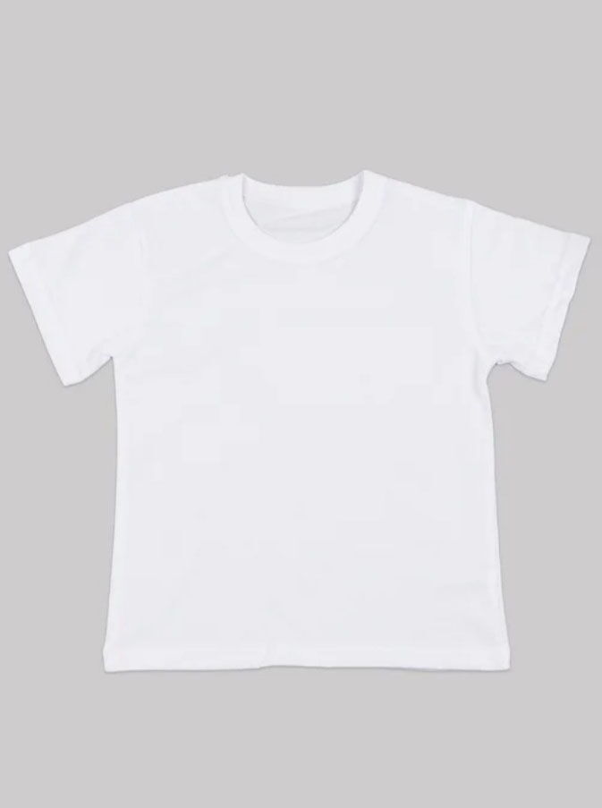 Белая футболка для физкультуры Фламинго 300-103 - цена