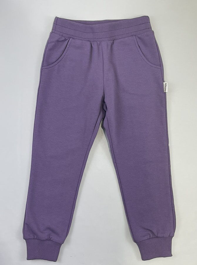 Спортивные штаны для девочки Robinzone фиолетовые ШТ-269 - цена