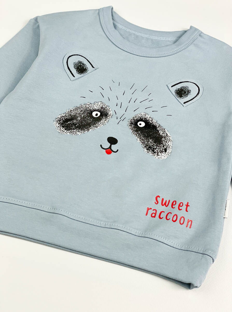 Свитшот для мальчика Robinzone Енот голубой 7540811 - размеры