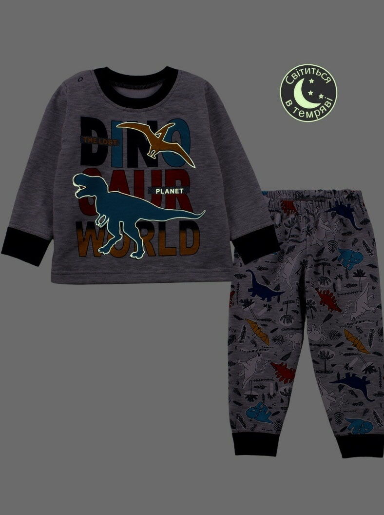 Утепленная пижама для мальчика Фламинго Dinosaur World серая 109-327 - фото
