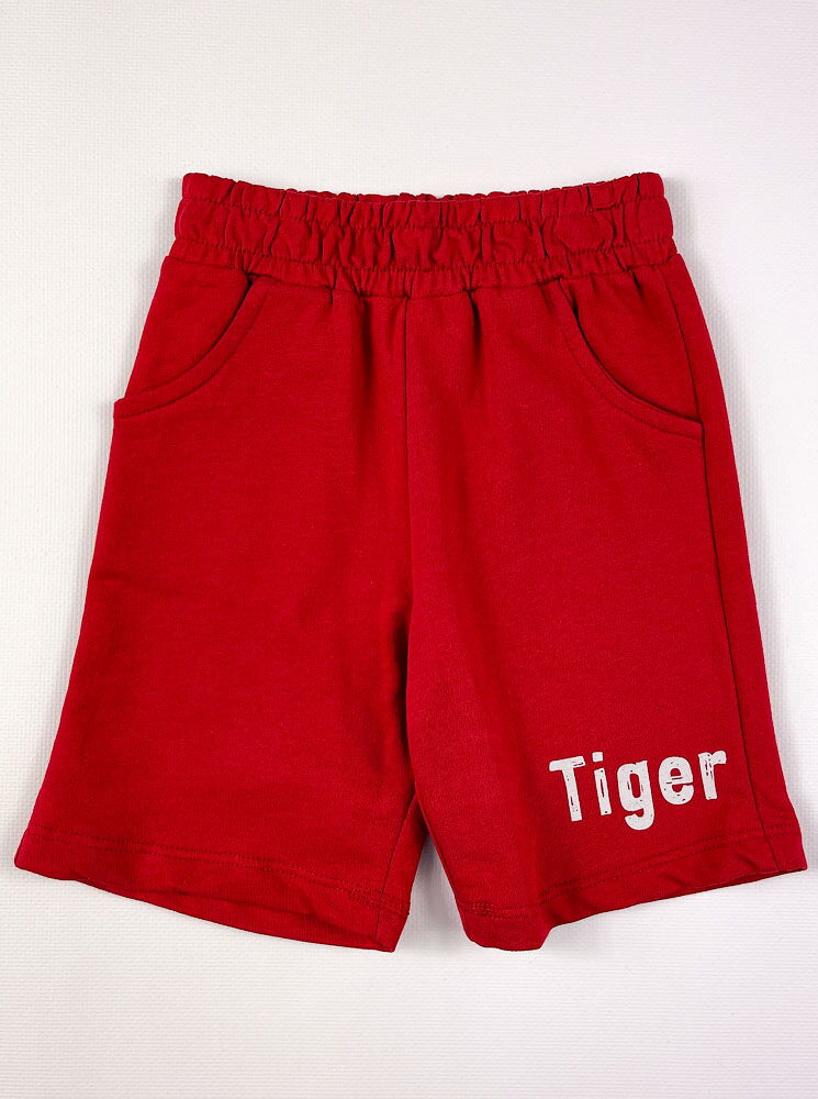 Комплект футболка и шорты для мальчика Breeze Tiger серый 14379 - купить