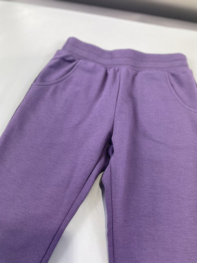 Спортивные штаны для девочки Robinzone фиолетовые ШТ-269 - фото