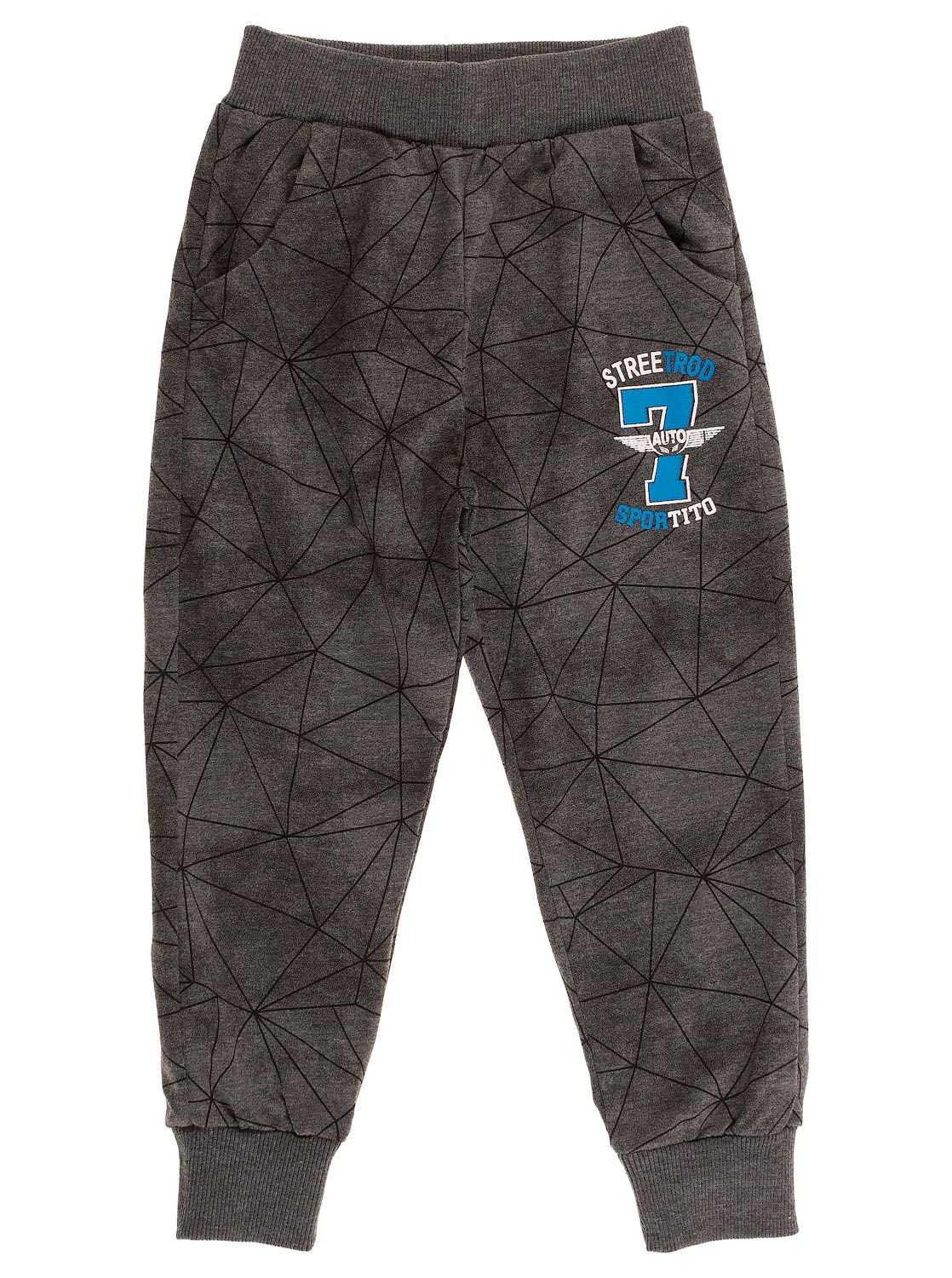 Спортивные штаны для мальчика Sincere серые 2015 - цена