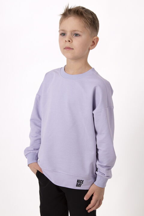 Свитшот детский Mevis сиреневый 4510-04 - картинка