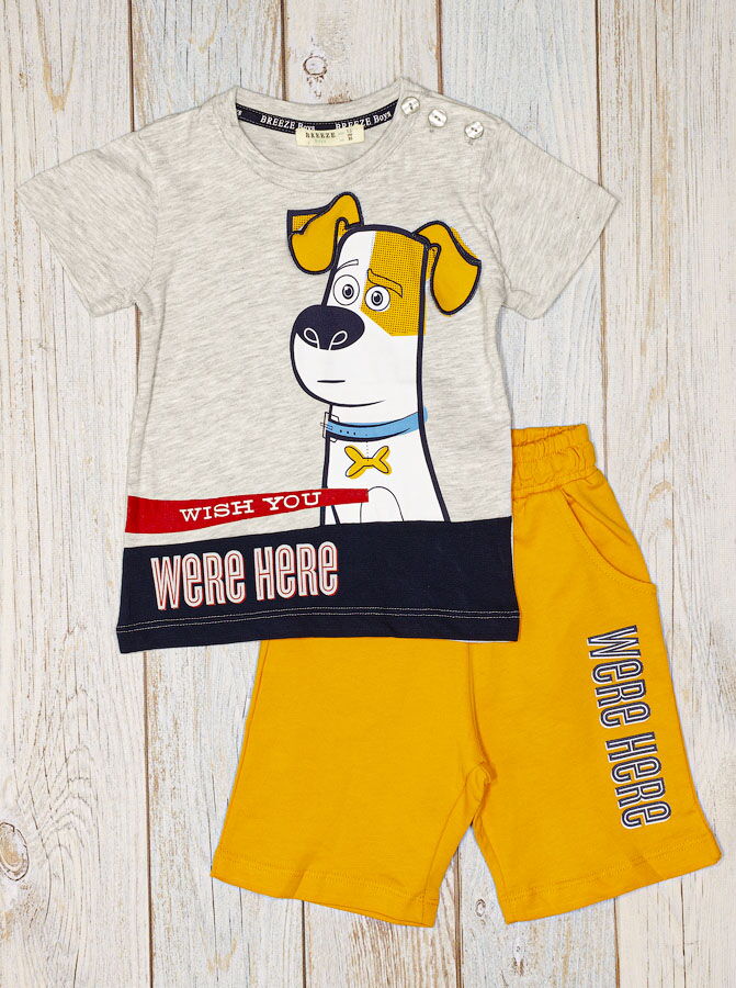 Комплект футболка и шорты для мальчика Breeze Собачка серый 14408 - фотография