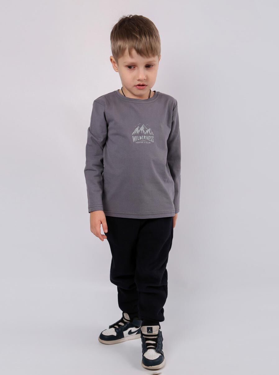 Реглан для мальчика Фламинго Wilderness серый 933-110 - размеры
