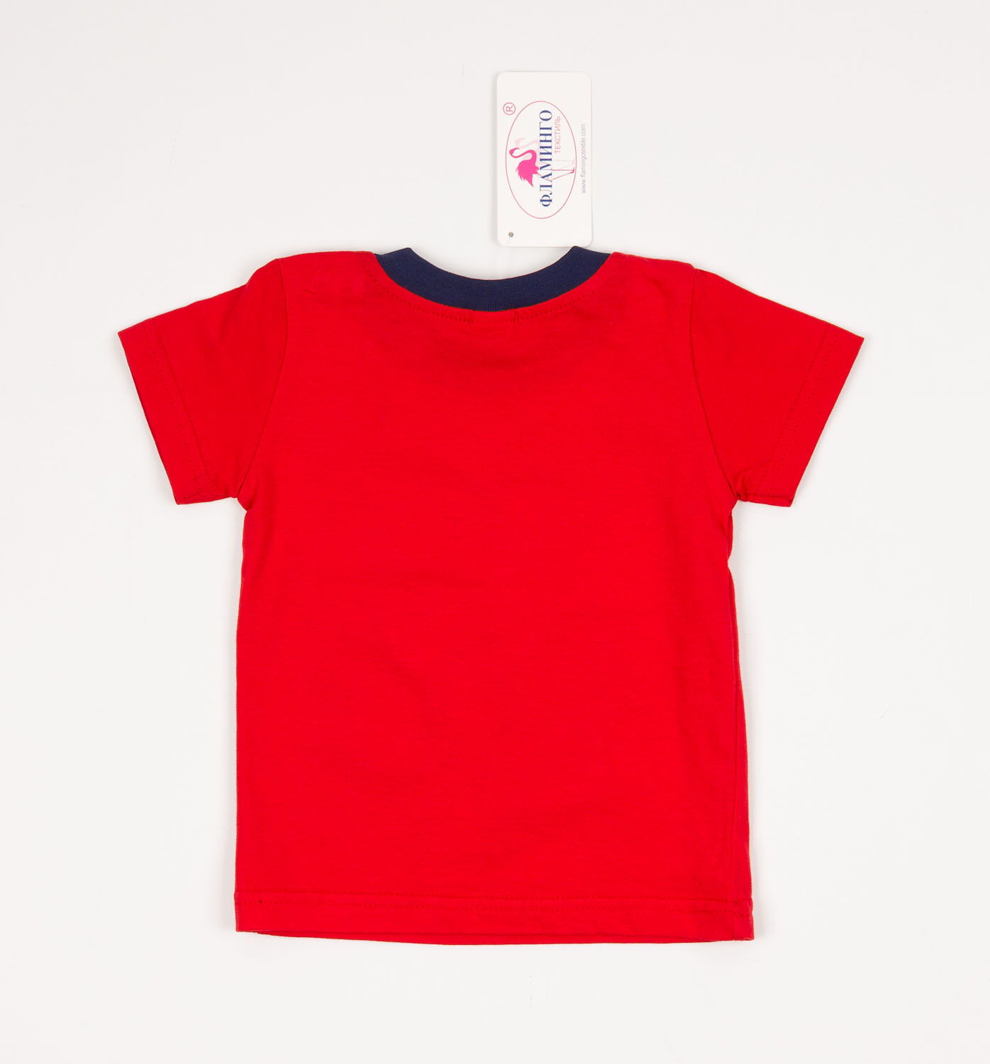Комплект для мальчика (футболка+шорты) Фламинго красный 688-110 - фотография
