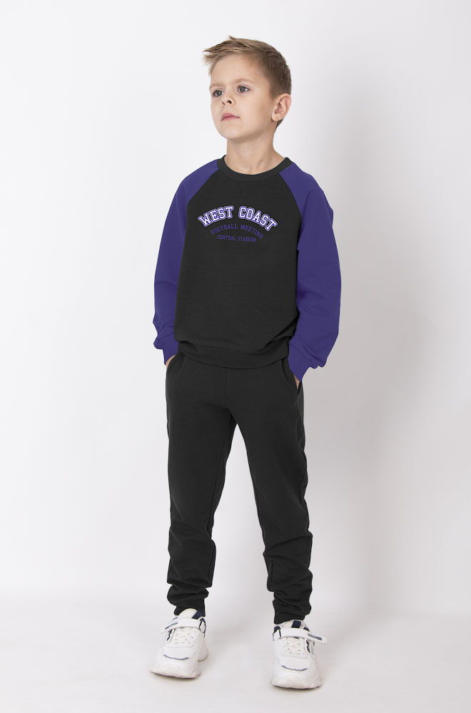 Спортивный костюм для мальчика Mevis фиолетовый 4495-02 - фото