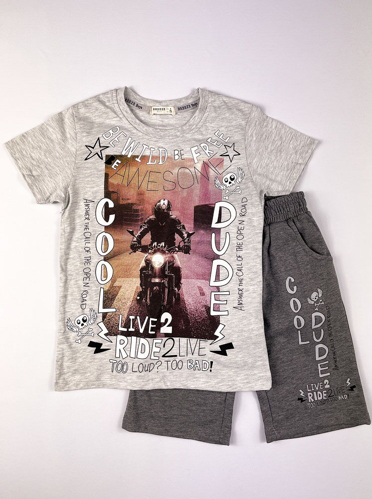 Комплект футболка и шорты для мальчика Breeze Cool Dude серый 15397 - цена