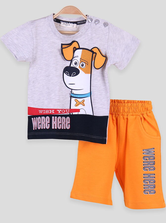 Комплект футболка и шорты для мальчика Breeze Собачка серый 14408 - цена