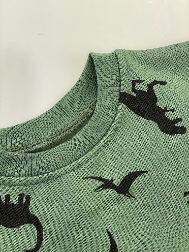 Утепленный свитшот для мальчика Фламинго Динозавр зеленый 870-310 - фото