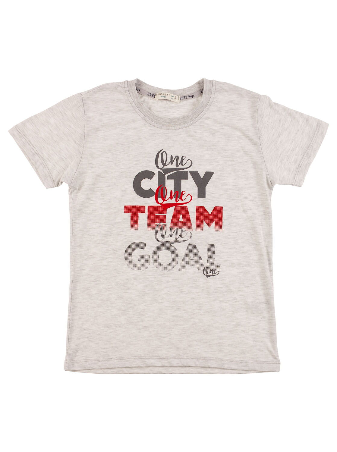 Комплект футболка і шорти Breeze Team сірий 12407 - фото