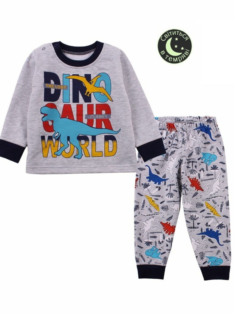 Утепленная пижама для мальчика Фламинго Dinosaur World серая 109-327 - цена