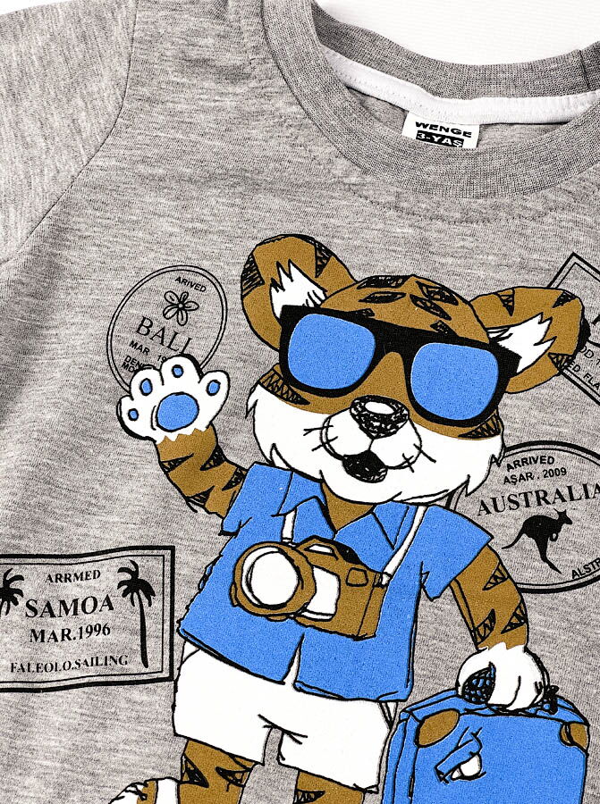 Футболка для мальчика Wenge Тигр серая 2086921 - размеры