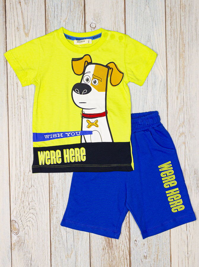 Комплект футболка и шорты для мальчика Breeze Собачка салатовый 14408 - цена
