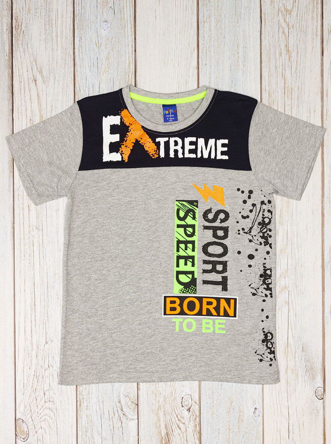 Футболка для мальчика Patika Kids Extreme серая 6012 - фото