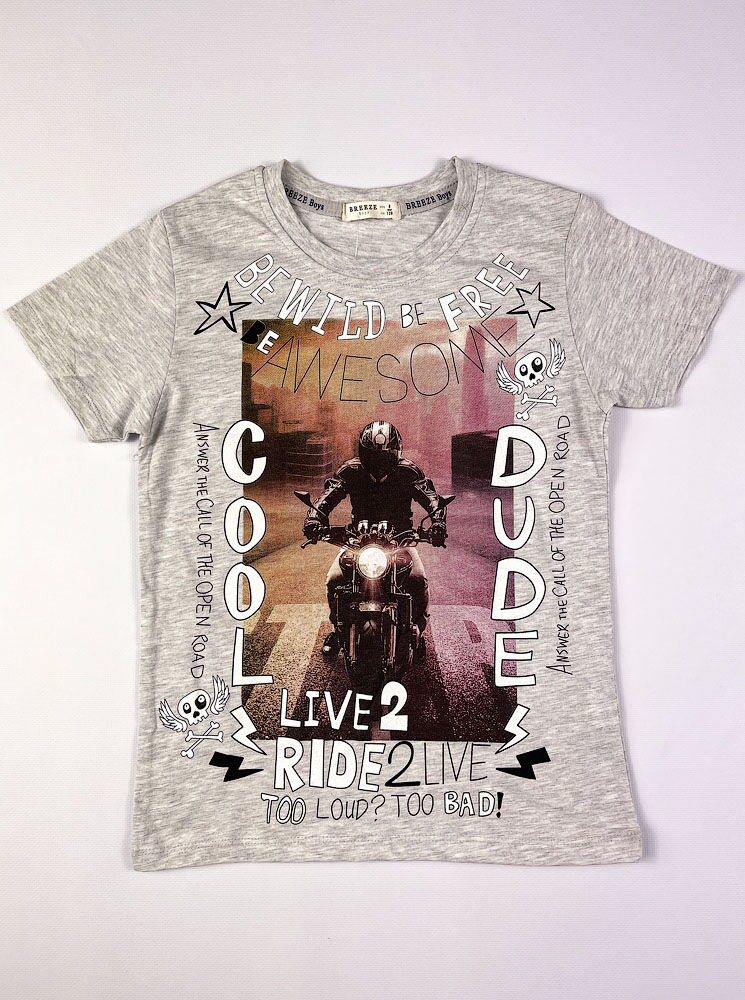 Комплект футболка и шорты для мальчика Breeze Cool Dude серый 15397 - Киев
