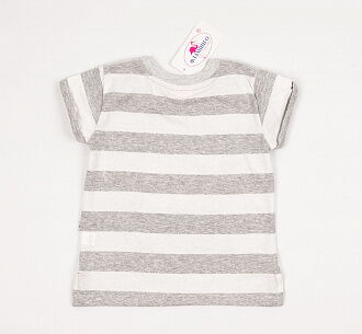 Комплект для мальчика (футболка+шорты) Фламинго серый 905-110 - фотография