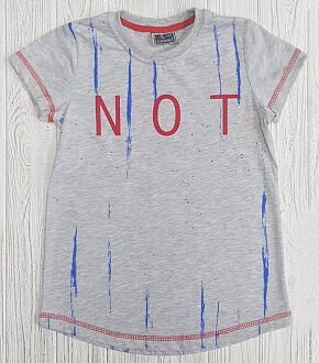 Футболка для мальчика Cegisa серая 4438 - фото