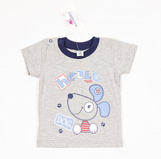 Комплект для мальчика (футболка+шорты) Фламинго серый 688-110 - размеры