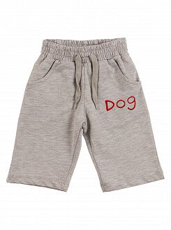 Комплект футболка и шорты Hoity-toity Dog голубой 0059 - фото