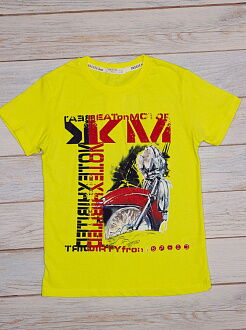Комплект футболка и шорты для мальчика Breeze салатовый 14512 - размеры