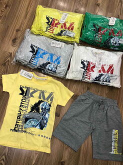 Комплект футболка и шорты для мальчика Breeze серый 14512 - фото