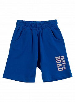 Комплект футболка и шорты Breeze Машинки синий 12365 - фотография