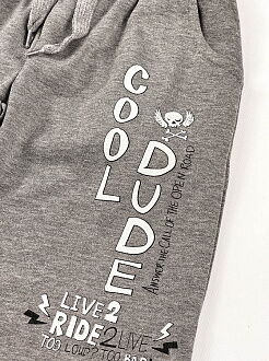 Комплект футболка и шорты для мальчика Breeze Cool Dude серый 15397 - купить