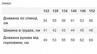 Теплая рубашка в клетку Mevis голубая 4907-02 - купить