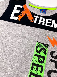 Футболка для мальчика Patika Kids Extreme серая 6012 - размеры
