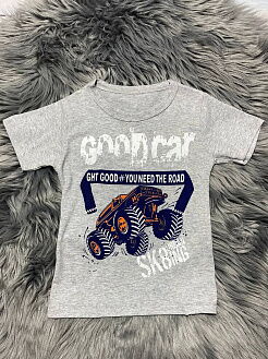 Комплект для мальчика футболка и шорты серый Road 5010-117 - размеры