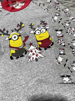 Утепленная пижама для мальчика Фабрика Миньоны серая 00433 - размеры