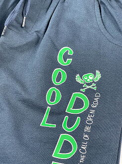 Комплект футболка и шорты для мальчика Breeze Cool Dude зеленый 15397 - картинка