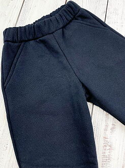 Утепленные спортивные штаны Фламинго темно-синие 824-341 - цена